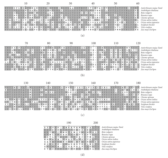 Coe1 in Beta vulgaris L. Has a Tnp2-Domain DNA Transposase Gene within Putative LTRs and Other Retroelement-Like Features.