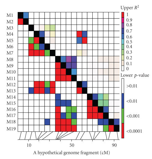 Application of association mapping to understanding the genetic diversity of plant germplasm resources.