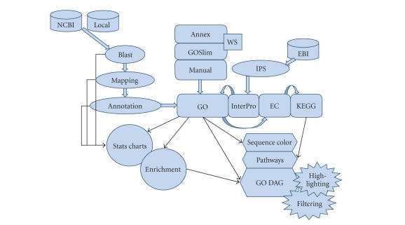 Blast2GO: A comprehensive suite for functional analysis in plant genomics.