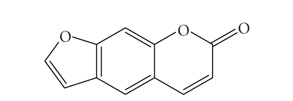 摘要图片