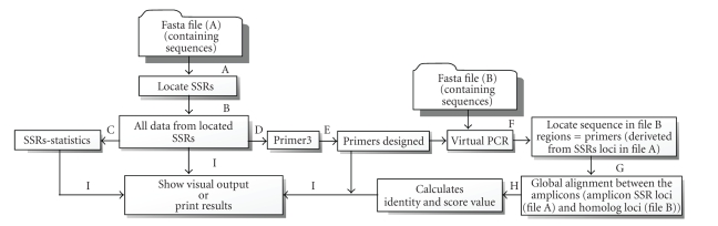 SSR Locator: Tool for Simple Sequence Repeat Discovery Integrated with Primer Design and PCR Simulation.