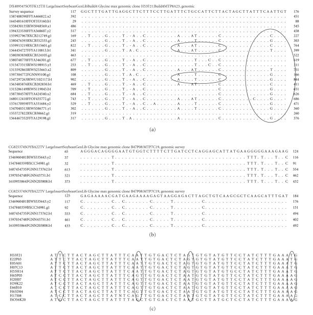 Soybean genomics: Developments through the use of cultivar "Forrest".