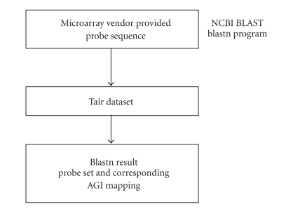 Cross-chip probe matching tool: A web-based tool for linking microarray probes within and across plant species.