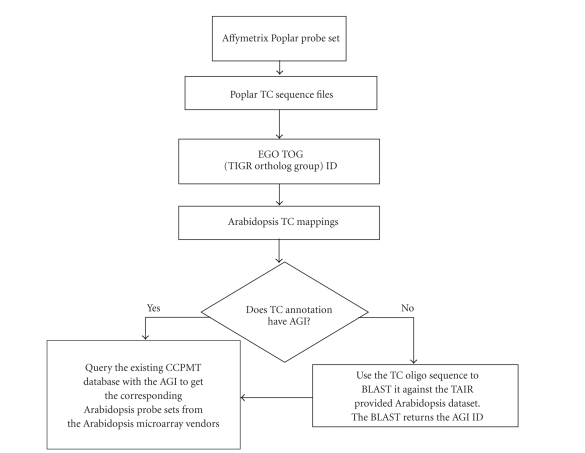 Cross-chip probe matching tool: A web-based tool for linking microarray probes within and across plant species.