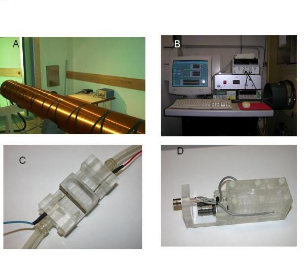 Action of combined magnetic fields on aqueous solution of glutamic acid: the further development of investigations.