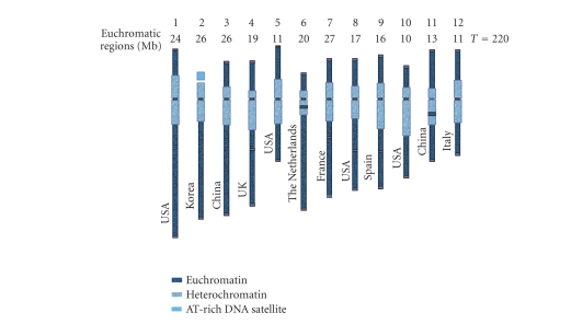 Structural and functional genomics of tomato.