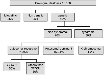 Genetic analysis for early diagnosis of otorhinolaryngeal diseases.
