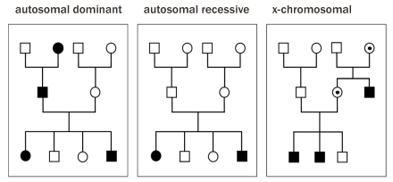 Genetic analysis for early diagnosis of otorhinolaryngeal diseases.