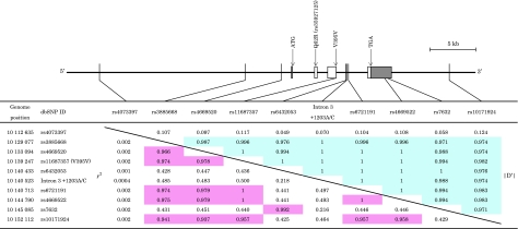 The association of genetic variants in Krüppel-like factor 11 and Type 2 diabetes in the Japanese population.
