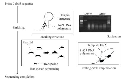 Development in rice genome research based on accurate genome sequence.