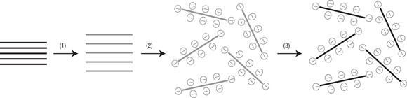 Processable aqueous dispersions of graphene nanosheets