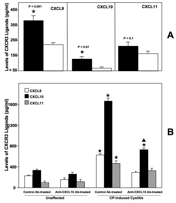 CXCL10 blockade protects mice from cyclophosphamide-induced cystitis.