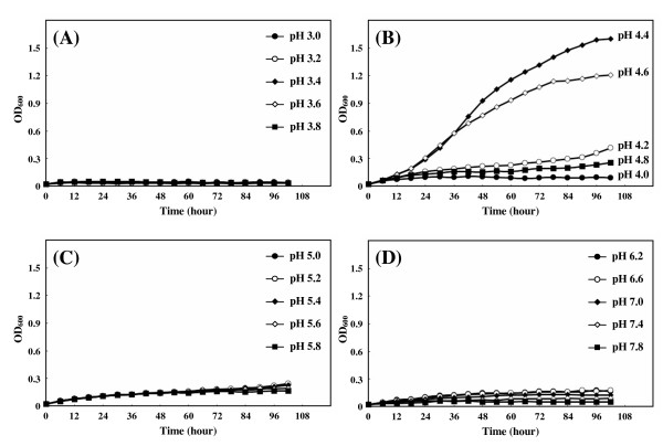 Acidophilic haloarchaeal strains are isolated from various solar salts.