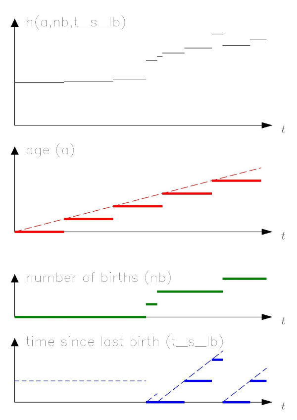 Methods for stratification of person-time and events - a prerequisite for Poisson regression and SIR estimation.