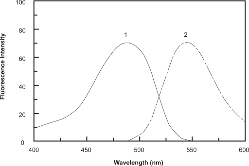 New spectrofluorimetric method with enhanced sensitivity for determination of paroxetine in dosage forms and plasma.