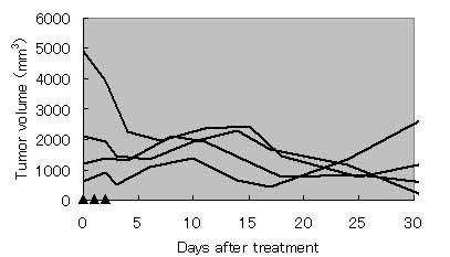 Hyperthermic treatment of DMBA-induced rat mammary cancer using magnetic nanoparticles.