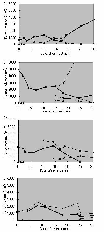 Hyperthermic treatment of DMBA-induced rat mammary cancer using magnetic nanoparticles.