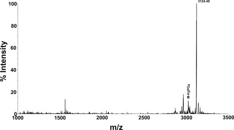 Detecting the site of phosphorylation in phosphopeptides without loss of phosphate group using MALDI TOF mass spectrometry.