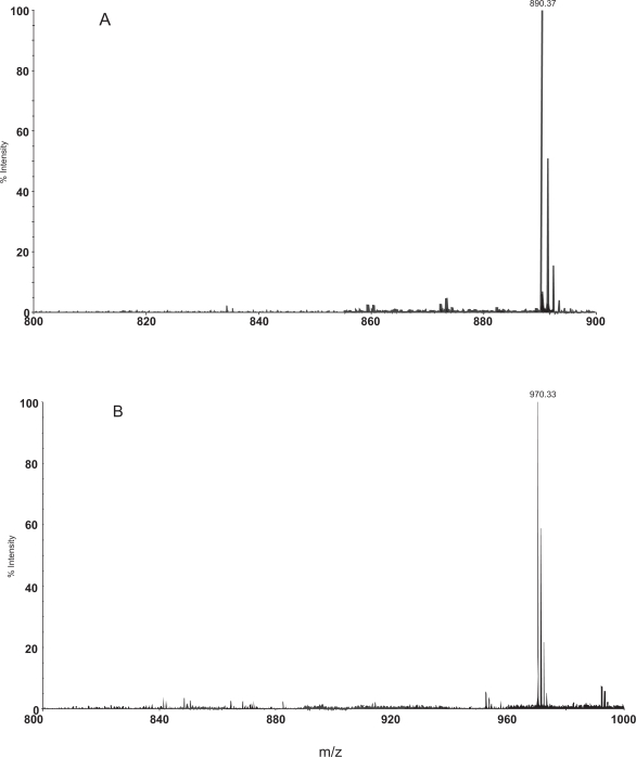 Detecting the site of phosphorylation in phosphopeptides without loss of phosphate group using MALDI TOF mass spectrometry.