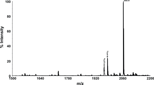 Detecting the site of phosphorylation in phosphopeptides without loss of phosphate group using MALDI TOF mass spectrometry.