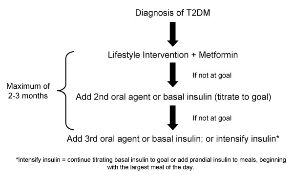 Common crossroads in diabetes management.