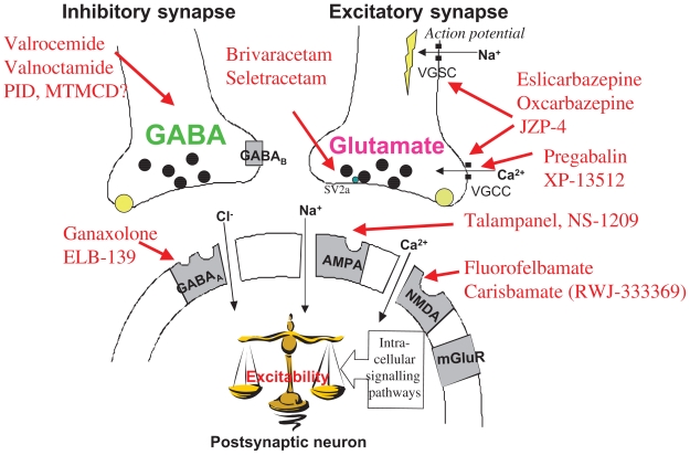 Modifications of antiepileptic drugs for improved tolerability and efficacy.