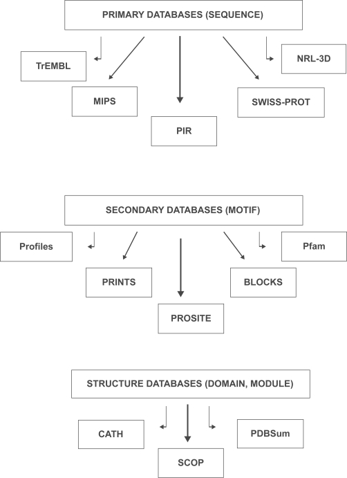 Understanding structural features of microbial lipases--an overview.