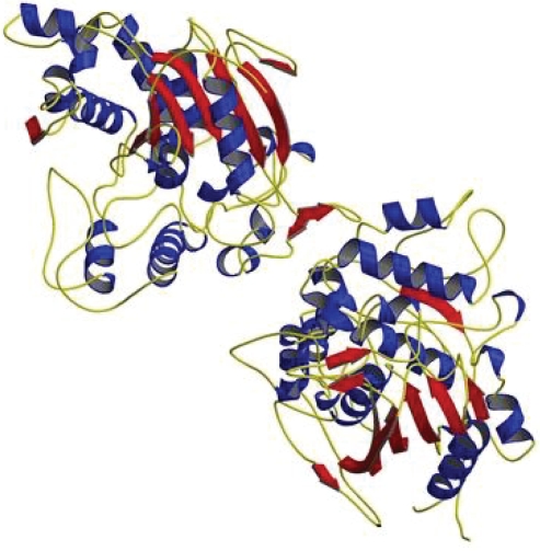 Understanding structural features of microbial lipases--an overview.