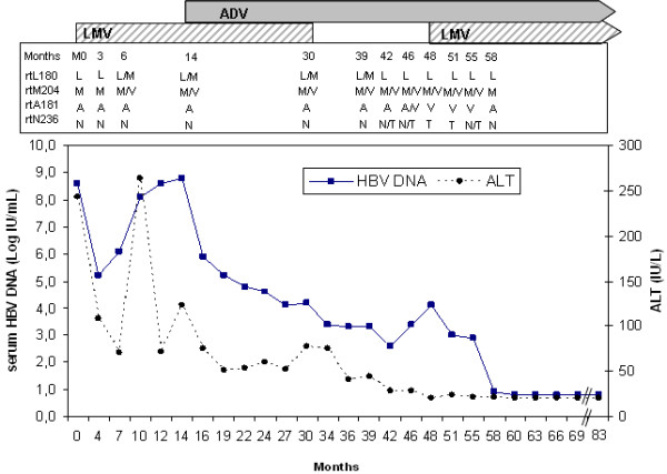 Sustained virological and biochemical responses to lamivudine and adefovir dipivoxil combination in a chronic hepatitis B infection despite mutations conferring resistance to both drugs.