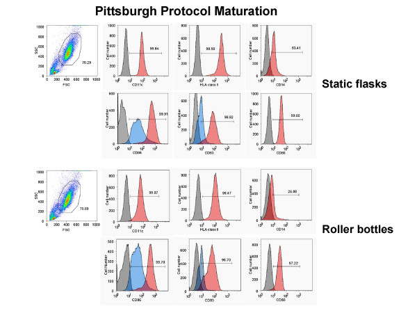 A new approach for the large-scale generation of mature dendritic cells from adherent PBMC using roller bottle technology.