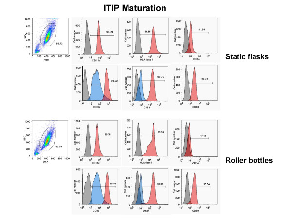 A new approach for the large-scale generation of mature dendritic cells from adherent PBMC using roller bottle technology.
