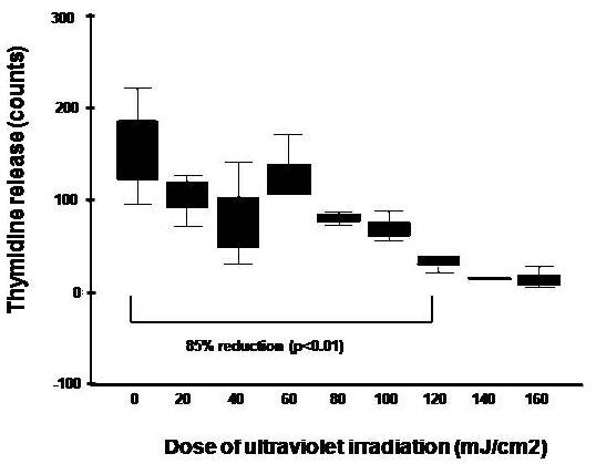 Use of ultraviolet-light irradiated multiple myeloma cells as immunogens to generate tumor-specific cytolytic T lymphocytes.