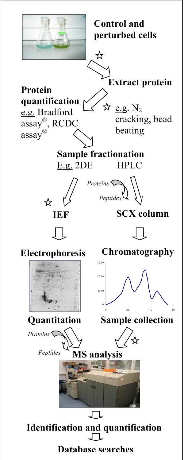 Proteomics with a pinch of salt: a cyanobacterial perspective.