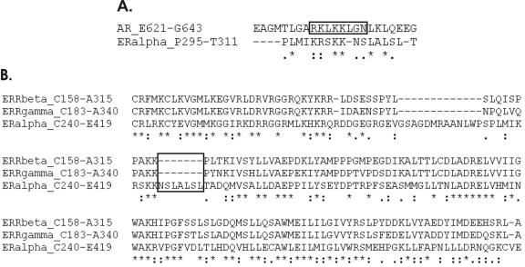 Regulatory function of the P295-T311 motif of the estrogen receptor alpha - does proteasomal degradation of the receptor induce emergence of peptides implicated in estrogenic responses?