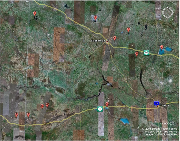 Chemical and physical properties of some saline lakes in Alberta and Saskatchewan.