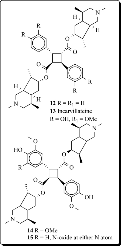 Cyclobutane-containing alkaloids: origin, synthesis, and biological activities.