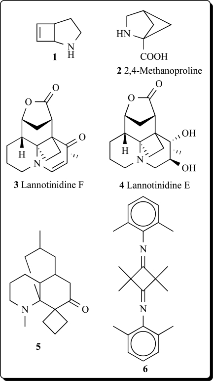 Cyclobutane-containing alkaloids: origin, synthesis, and biological activities.