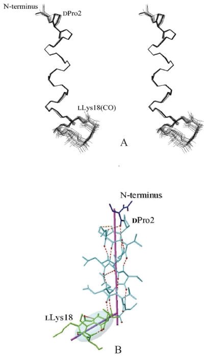 Bioactive and structural metabolites of pseudomonas and burkholderia species causal agents of cultivated mushrooms diseases.