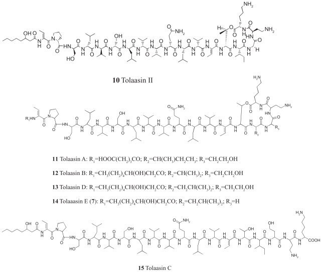 Bioactive and structural metabolites of pseudomonas and burkholderia species causal agents of cultivated mushrooms diseases.