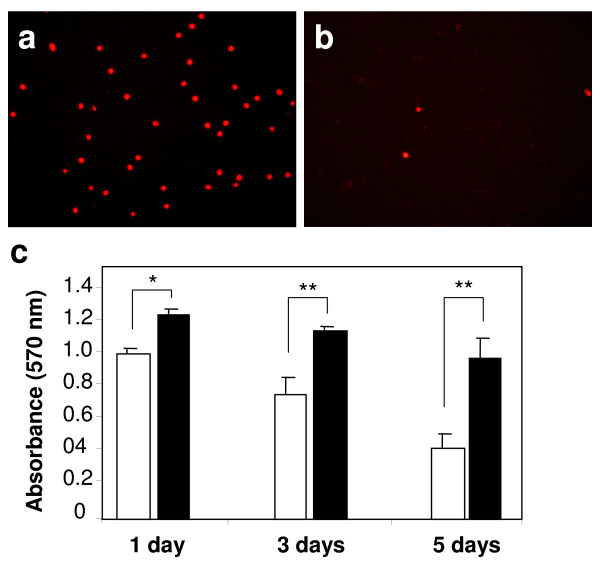 The influence of oxygen tension on the structure and function of isolated liver sinusoidal endothelial cells.