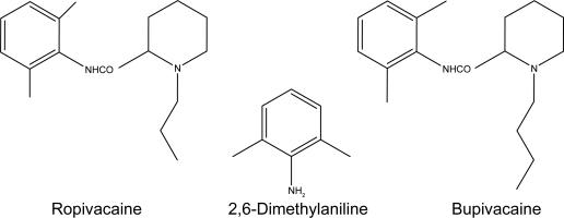 Quantitative mass spectrometric analysis of ropivacaine and bupivacaine in authentic, pharmaceutical and spiked human plasma without chromatographic separation.