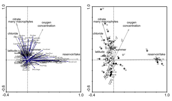 Rotifers from selected inland saline waters in the Chihuahuan Desert of México.