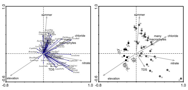 Rotifers from selected inland saline waters in the Chihuahuan Desert of México.