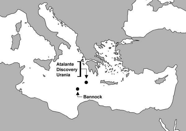 Diversity of Bacillus-like organisms isolated from deep-sea hypersaline anoxic sediments.