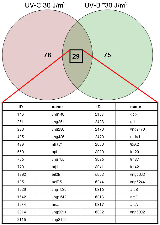 Transcriptional responses to biologically relevant doses of UV-B radiation in the model archaeon, Halobacterium sp. NRC-1.