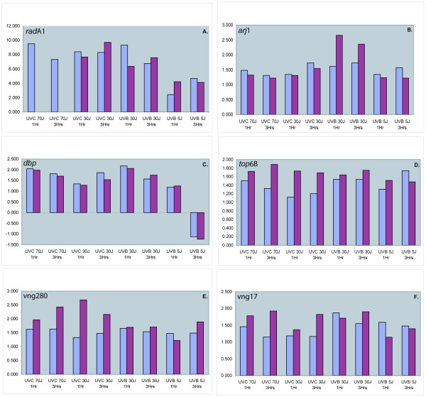 Transcriptional responses to biologically relevant doses of UV-B radiation in the model archaeon, Halobacterium sp. NRC-1.