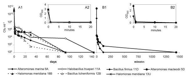 DNA is preserved and maintains transforming potential after contact with brines of the deep anoxic hypersaline lakes of the Eastern Mediterranean Sea.