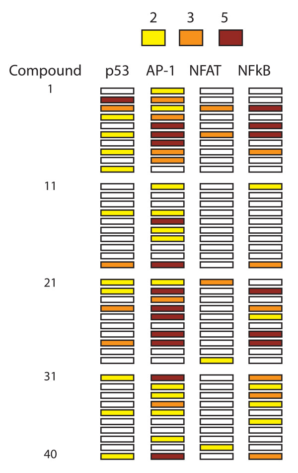 Charting calcium-regulated apoptosis pathways using chemical biology: role of calmodulin kinase II.