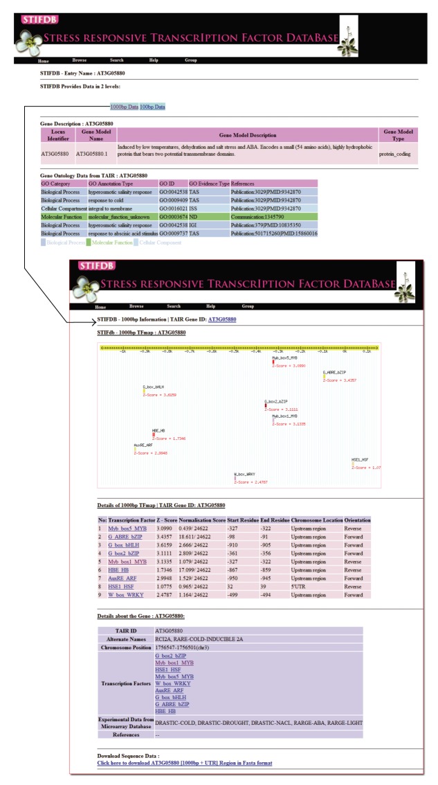 STIFDB-Arabidopsis Stress Responsive Transcription Factor DataBase.