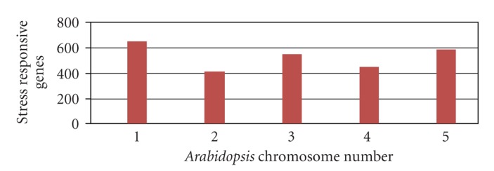 STIFDB-Arabidopsis Stress Responsive Transcription Factor DataBase.